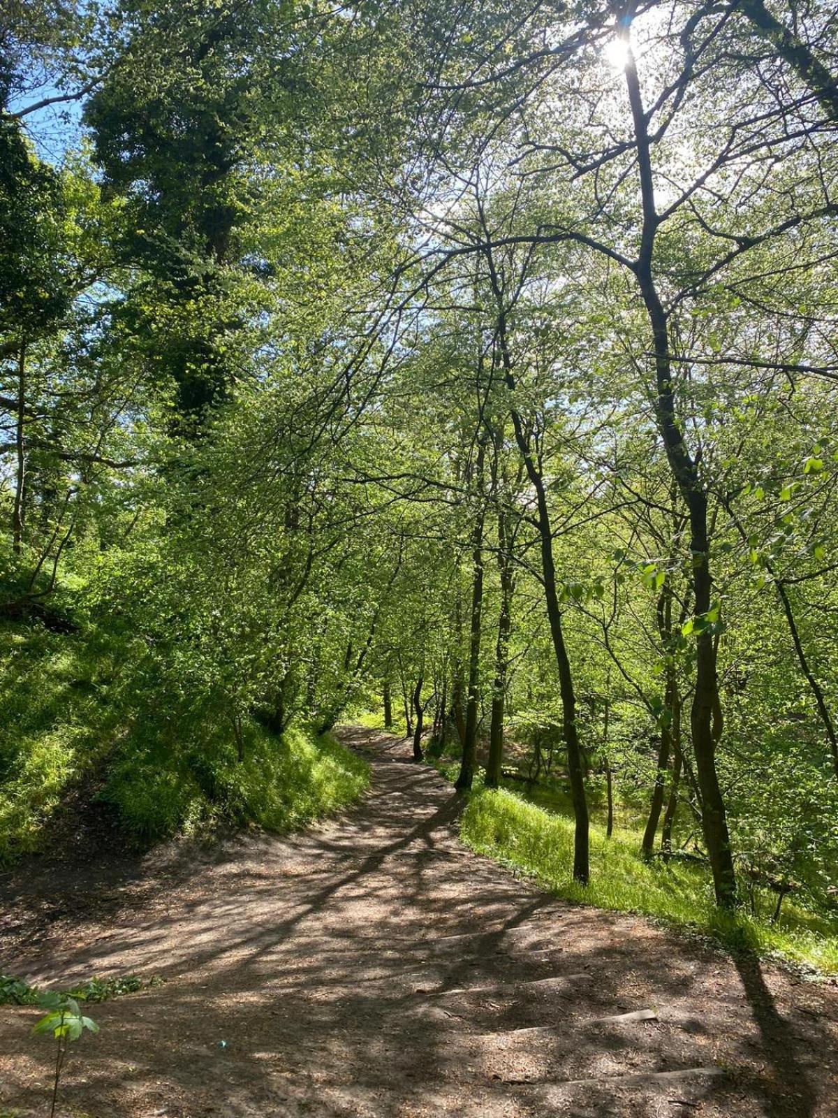Lovely Countryside Getaway Рослін Екстер'єр фото